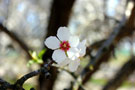Photo By Menaka & Vinodh